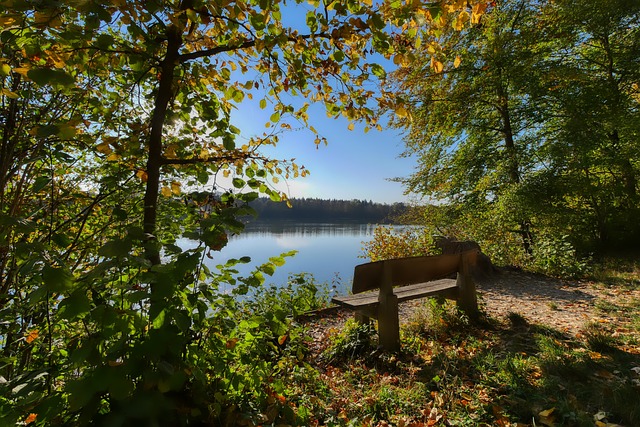 季在德甲的 季在德甲的