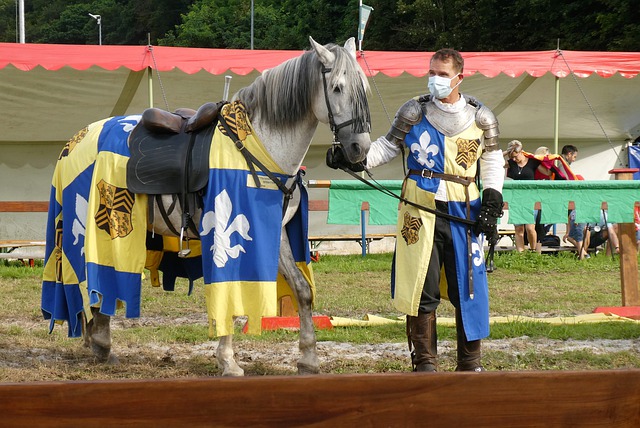 何应对这场 何应对这场